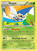 10-ninjask