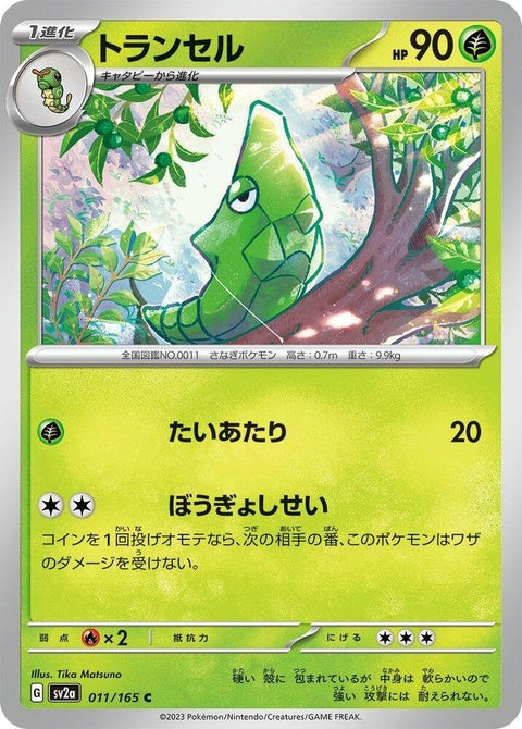 11-metapod