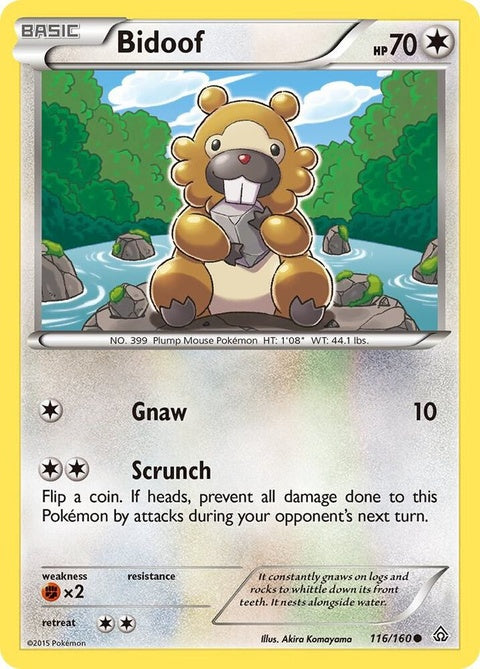 116-bidoof