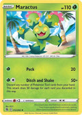 12-maractus