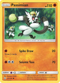 125-passimian