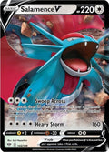 143-salamencev