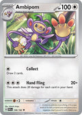 146-ambipom