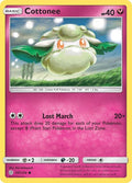 147-cottonee