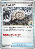 154-antiquehelixfossil