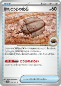 155-antiquedomefossil