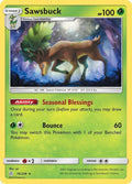 16-sawsbuck