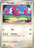 165-flamigo