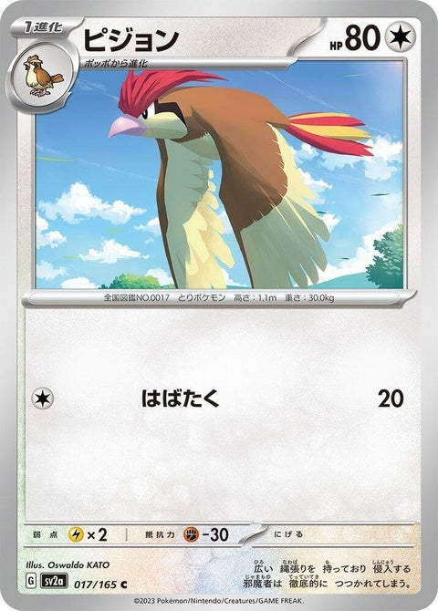 17-pidgeotto
