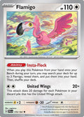 170-flamigo