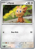 170-lillipup