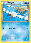 18-wingull