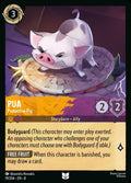19-pua-protectivepig