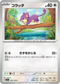 19-rattata