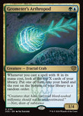 191-geometersarthropod