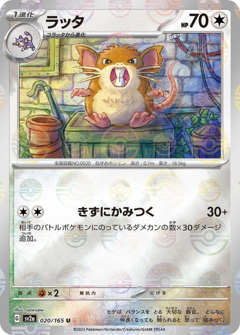20-raticate-pokeballpattern