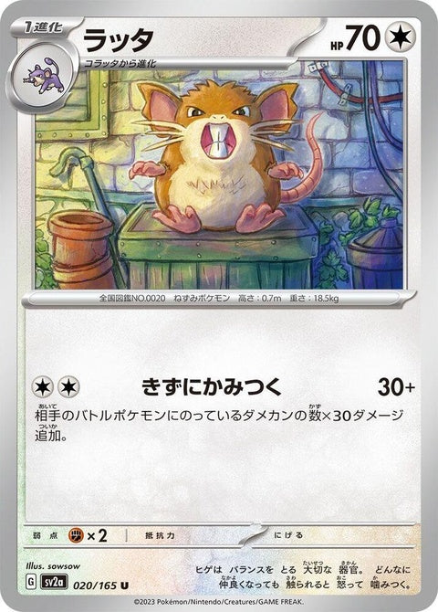 20-raticate