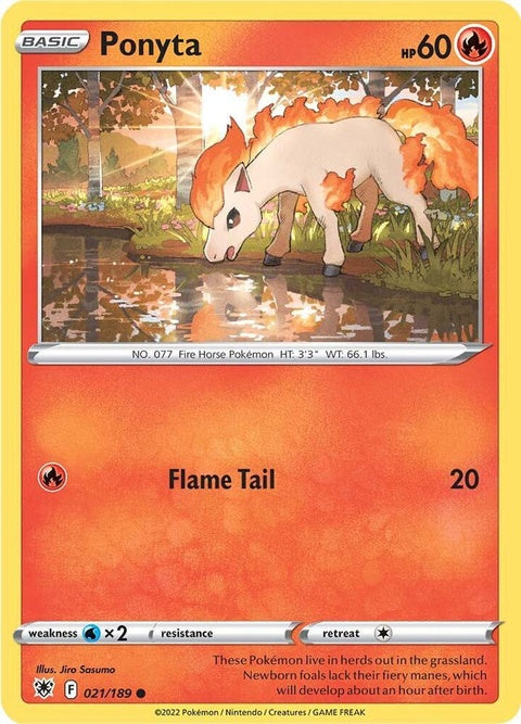 21-ponyta