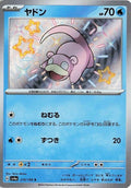 219-slowpoke