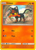 24-litten-waterwebholo