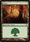 243-forest