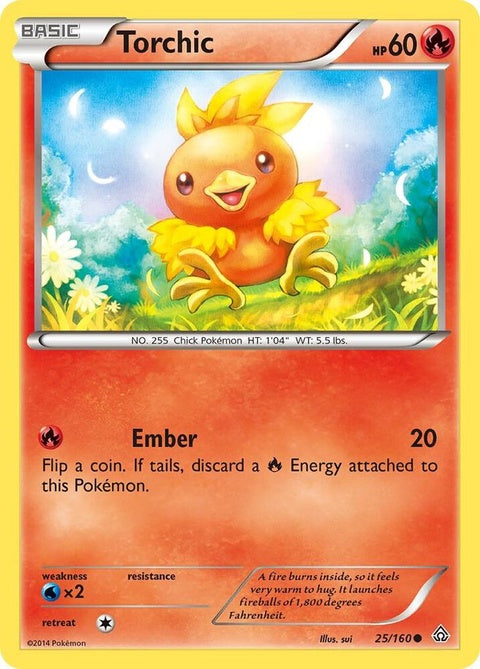 25-torchic