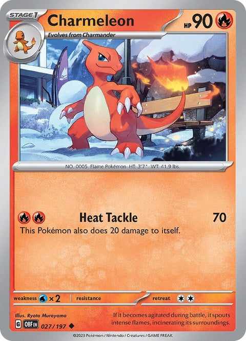 27-charmeleon