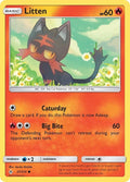 27-litten