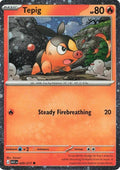 29-tepig-cosmosholo