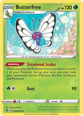 3-butterfree