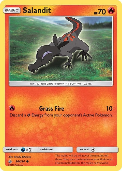 30-salandit
