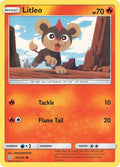 36-litleo