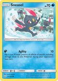 43-sneasel