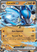 51-lucarioex