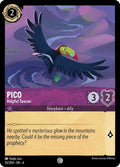 55-pico-helpfultoucan