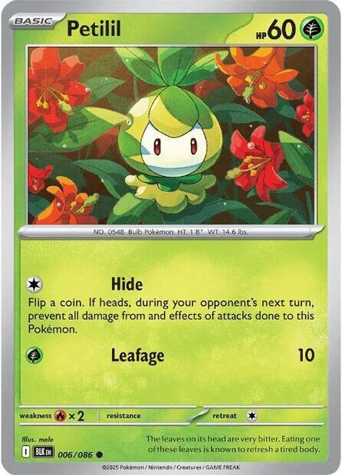 6-petilil