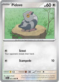71-pidove