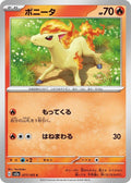 77-ponyta