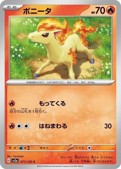77-ponyta