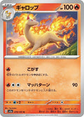 78-rapidash