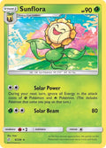 8-sunflora