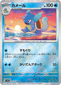 8-wartortle-pokeballpattern