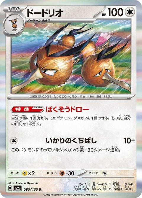 85-dodrio