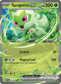 87-sprigatitoex