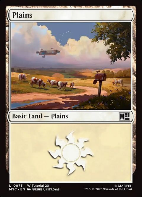 873-plains