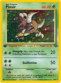 9-pinsir