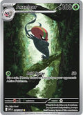 94-accelgor