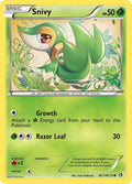 rc1/rc25-snivy