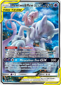 sm191-mewtwomewgx