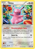 xy40-ditto